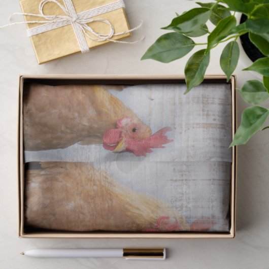 Papier Mousseline Poulets (Cadeau)
