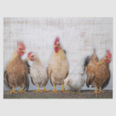 Papier Mousseline Poulets (Recto)
