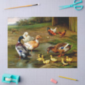 Papier Mousseline Poulets, Canards Et Canards À La Ferme (Artisanat)
