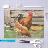 Papier Mousseline Poulets et fleurs blanches  (Artisanat)