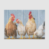 Papier Mousseline Poulets et poules (Recto)