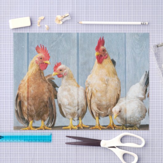 Papier Mousseline Poulets et poules (Artisanat)