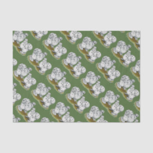 Papier Mousseline Poulets petits d'éclaboussure de Silkie
