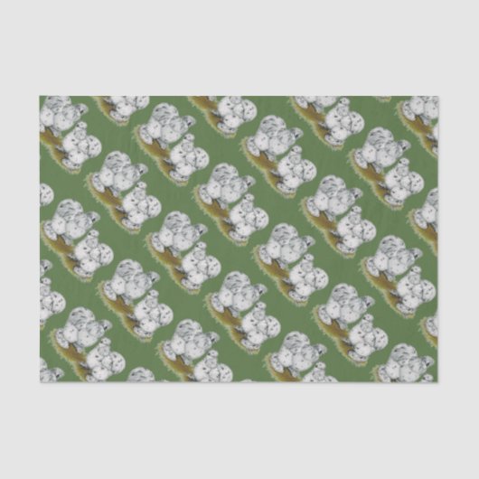 Papier Mousseline Poulets petits d'éclaboussure de Silkie (Recto)