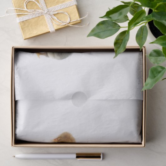 Papier Mousseline poussins moelleux (Cadeau)