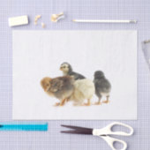 Papier Mousseline poussins moelleux (Artisanat)