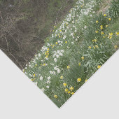 Papier Mousseline Pré-fleur de construction agricole délabrée (Détail)