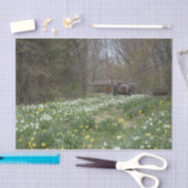 Papier Mousseline Pré-fleur de construction agricole délabrée (Artisanat)