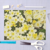 Papier Mousseline Primrose du printemps (Artisanat)