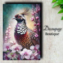 Prince Orchidée Découpage