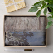 Papier Mousseline Princesse (Cadeau)