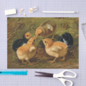 Papier Mousseline Printemps de Pâques poussins Découpage Découpage r (Artisanat)