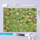 Papier Mousseline Protections de lis (Artisanat)