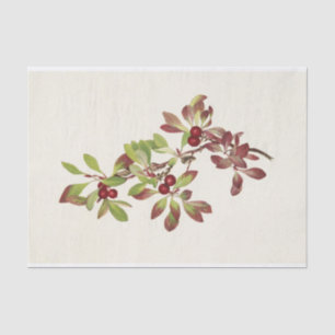 Papier Mousseline Ptarmiganberry de Mary Vaux Walcott