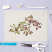 Papier Mousseline Ptarmiganberry de Mary Vaux Walcott (Artisanat)