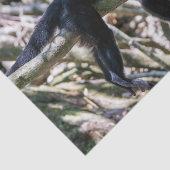 Papier Mousseline Pura vida pour singe capucin à tête blanche (Détail)