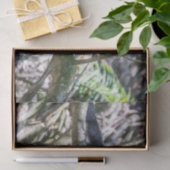 Papier Mousseline Pura vida pour singe capucin à tête blanche (Cadeau)