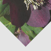 Papier Mousseline Purple Carême Rose Pâques (Détail)