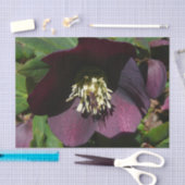 Papier Mousseline Purple Carême Rose Pâques (Artisanat)