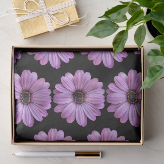 Papier Mousseline Purple Daisy sur papier Tissu Noir (Cadeau)