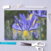 Papier Mousseline Purple N Iris Jaune (Artisanat)