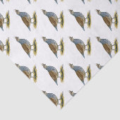 Papier Mousseline Quail à échelle (Détail)