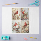 Papier Mousseline Quatre cardinaux carrés (Artisanat)