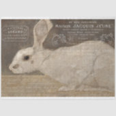 Papier Mousseline Rabbit français vintage et découpage Ephémère (Recto)