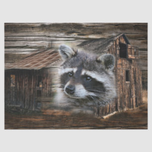 Papier Mousseline Raccoon À L'Ancienne Grange