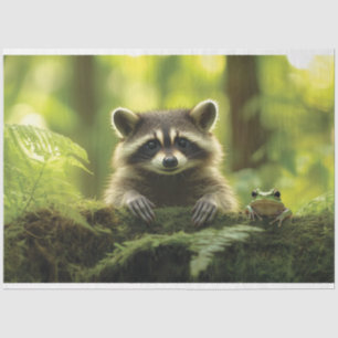 Papier Mousseline Raccoon adorable et grenouille à la recherche de M