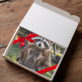 Papier Mousseline Raccoon Pilot Airplane Funny Birthday Decoupage