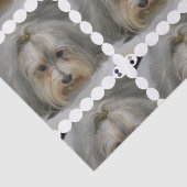 Papier Mousseline Race de chien de Havanese (Détail)