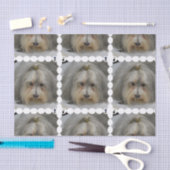 Papier Mousseline Race de chien de Havanese (Artisanat)