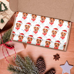 Papier Mousseline Race de chien Labrador Noël