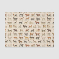 Races de chiens vintages à motif