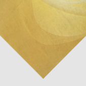 Papier Mousseline Radiance de Soie (Détail)