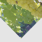 Papier Mousseline Raisins De Sultana Sur Une Vigne De Raisin, (Détail)