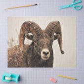 Papier Mousseline Râle (Artisanat)