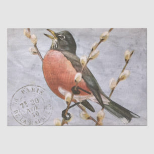 Papier Mousseline Rameau d'oiseau de Robin découpage bleu timbre-pos