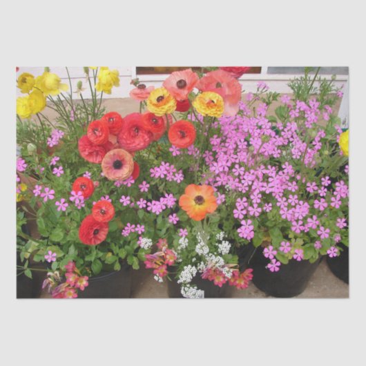 Papier Mousseline Rannunculus Printemps Bulles Anniversaire Jardin r (Recto)