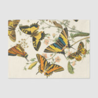 Rassemblement coloré de papillons et de chenilles