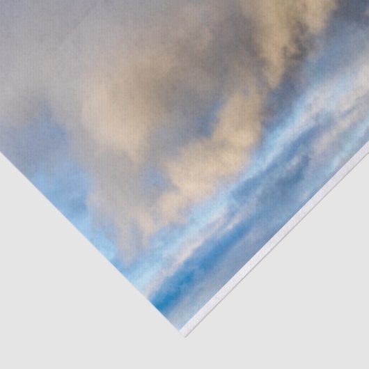 Papier Mousseline rébellion arc-en-ciel (Détail)