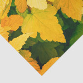 Papier Mousseline Récolte d'automne (Détail)