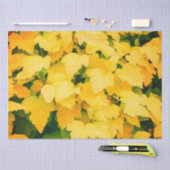 Papier Mousseline Récolte d'automne (Artisanat)