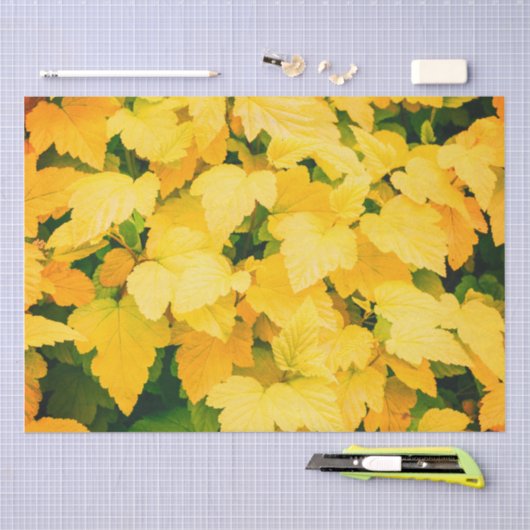 Papier Mousseline Récolte d'automne (Artisanat)