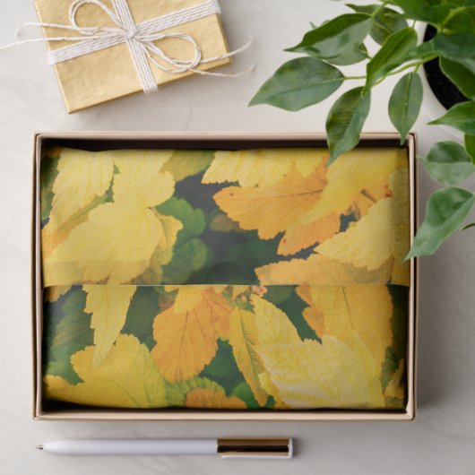 Papier Mousseline Récolte d'automne (Cadeau)