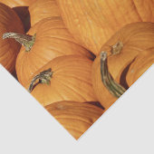 Papier Mousseline Récolte de photo Citrouille (Détail)