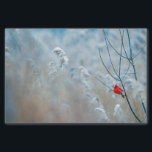 Papier Mousseline Red Cardinal dans Winter Nature Photo de Christmas<br><div class="desc">Papier de tissus avec une photo nature pittoresque représentant un cardinal rouge vif. Contrasté par rapport à un arrière-plan hivernal extérieur avec la neige tombant doucement vers le bas.</div>