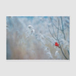 Papier Mousseline Red Cardinal dans Winter Nature Photo de Christmas<br><div class="desc">Papier de tissus avec une photo nature pittoresque représentant un cardinal rouge vif. Contrasté par rapport à un arrière-plan hivernal extérieur avec la neige tombant doucement vers le bas.</div>
