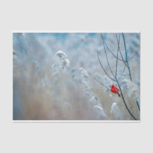 Papier Mousseline Red Cardinal dans Winter Nature Photo de Christmas